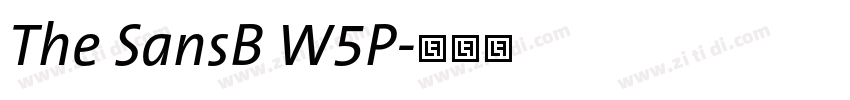 The SansB W5P字体转换